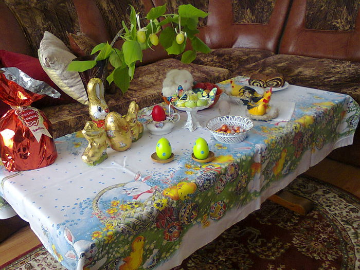 Poze din telefon 005