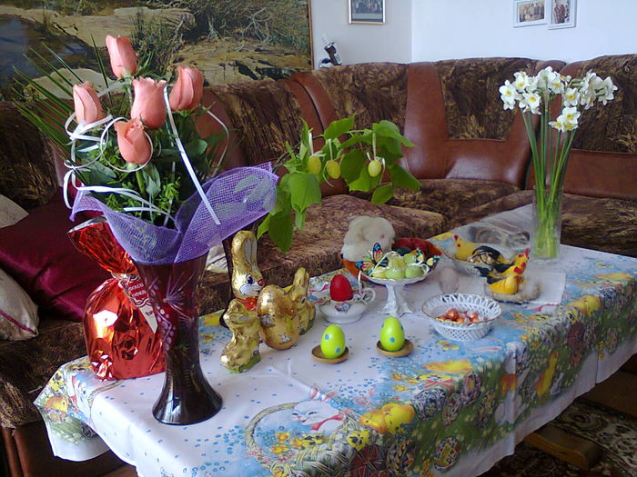 Poze din telefon 006