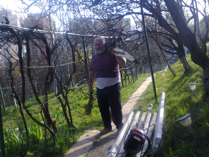 Poze din telefon 034