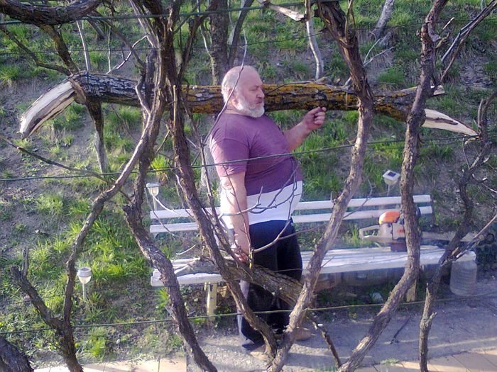 Poze din telefon 035