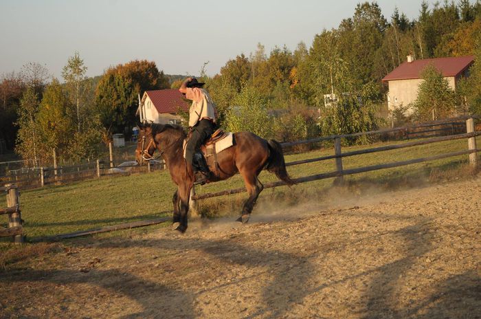10733350_877851772233396_1046414696_o - western cowboy