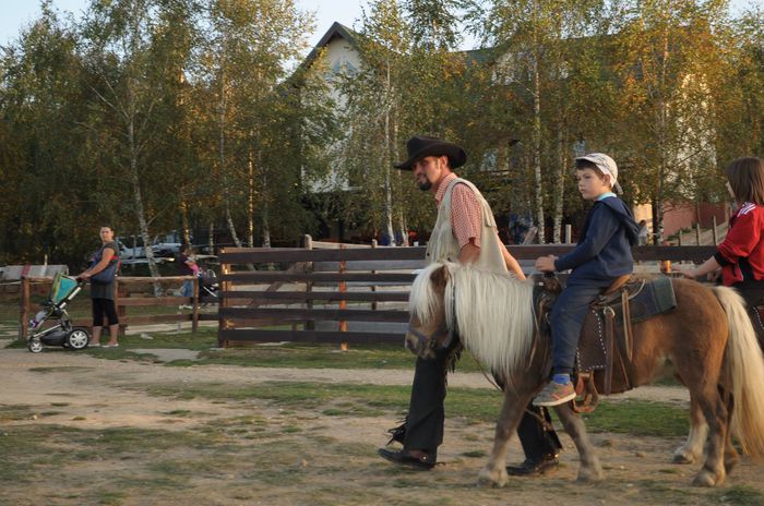 10736262_877849718900268_643187879_o - western cowboy