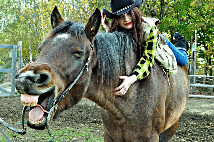 aaaaa - western cowboy