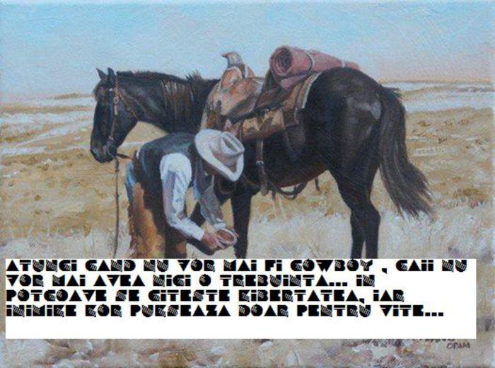 Cowboy - western cowboy