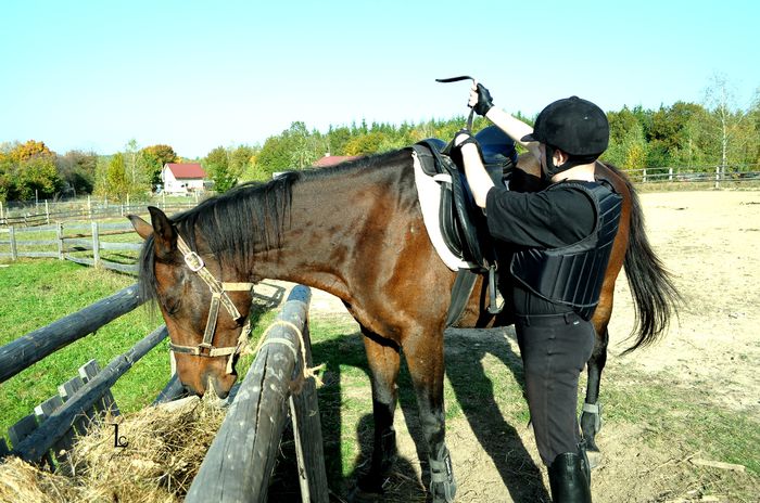 DSC_0184 - western cowboy