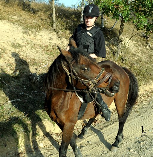 DSC_0291 - western cowboy