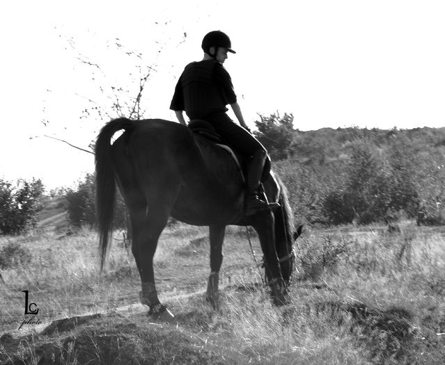 DSC_0307 - western cowboy