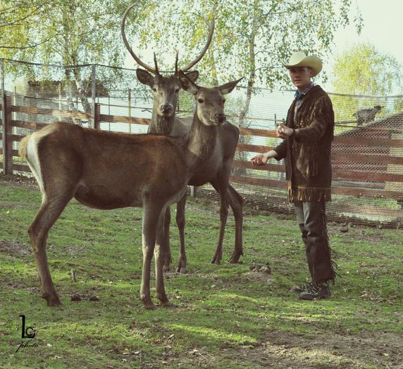 DSC_0314 - western cowboy