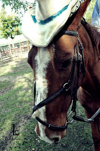 DSC_0364 - western cowboy