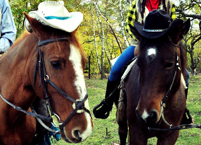 DSC_0384 - western cowboy