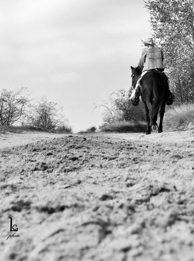 DSC_0406a - western cowboy