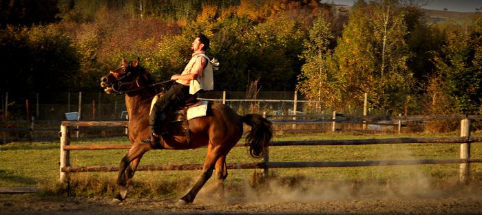 DSC_0437 - western cowboy