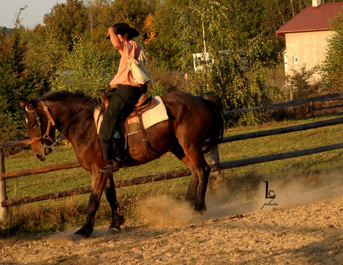 DSC_0482 - western cowboy