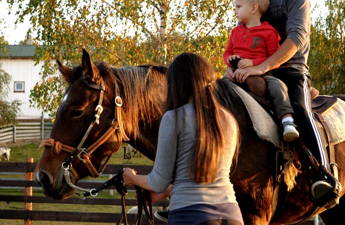 DSC_0512 - western cowboy