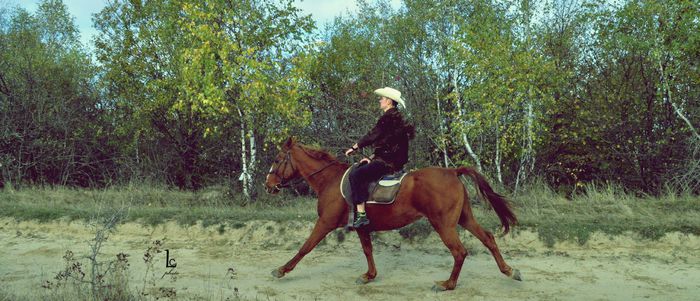 DSC_0548 - western cowboy