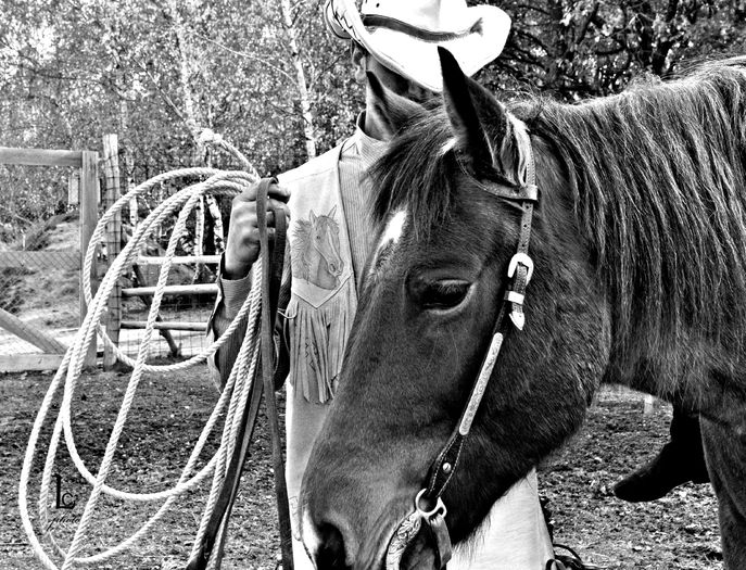 DSC_1025 - western cowboy