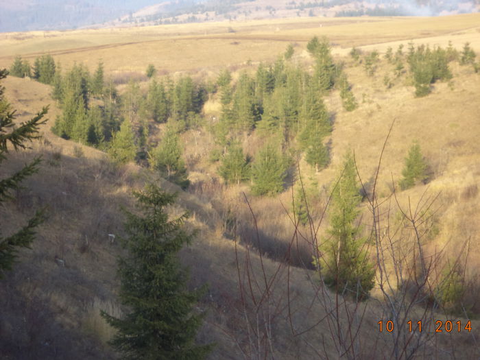 Un loc bogat in zmeurus si salcie