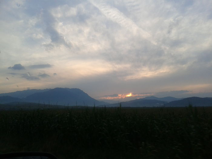 2014-08-21 19.46.01