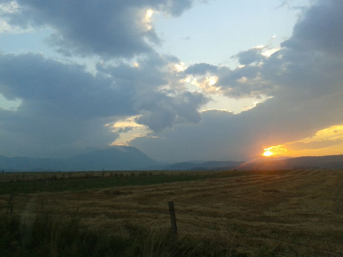 2014-08-23 19.52.23