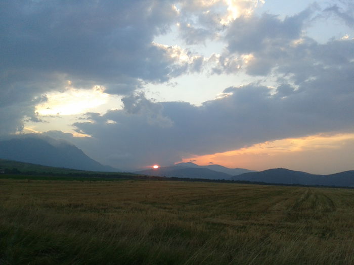 2014-08-23 19.56.36