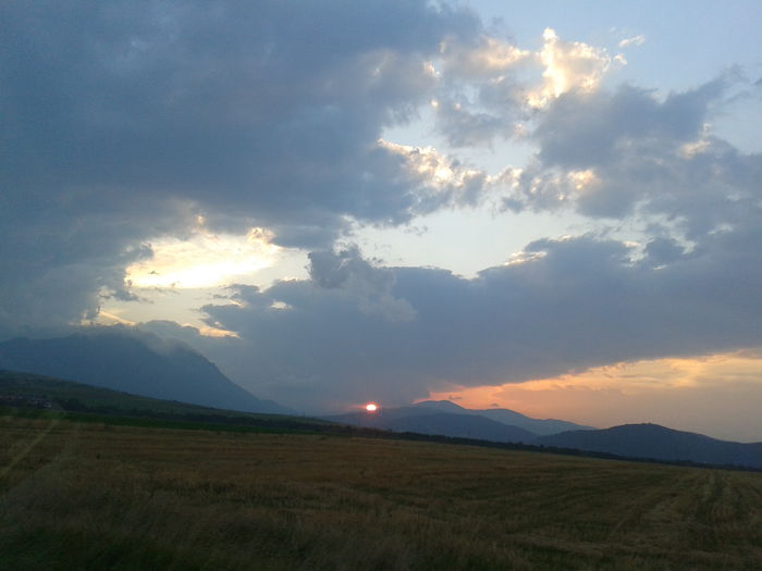 2014-08-23 19.56.44