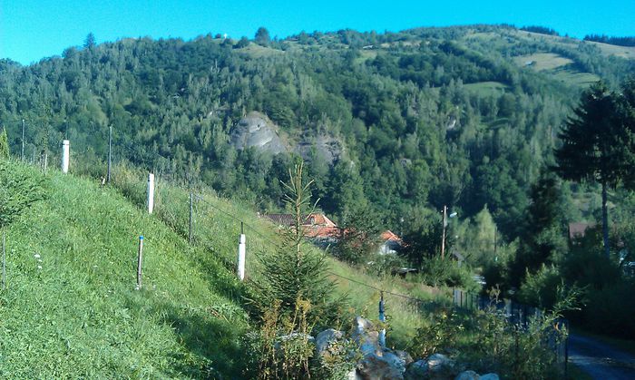 IMAG0417