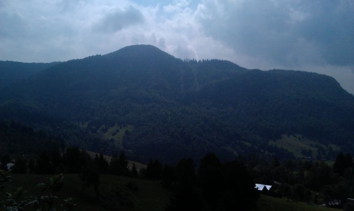 IMAG0593