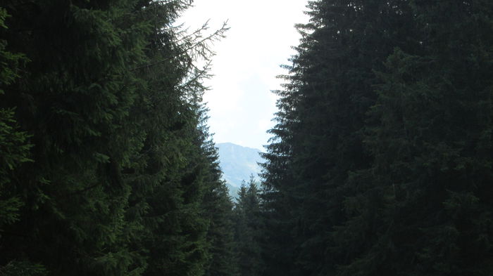IMG_1849