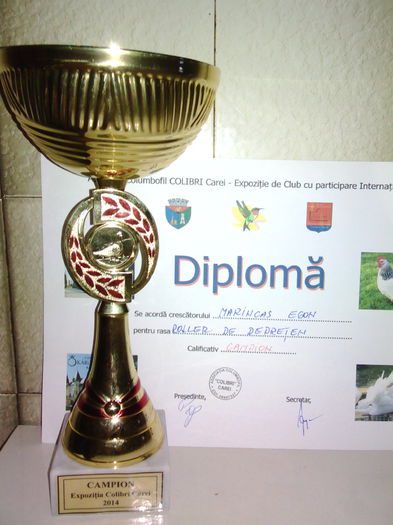 IMG_20141109_204142 - Cupe si Diplome