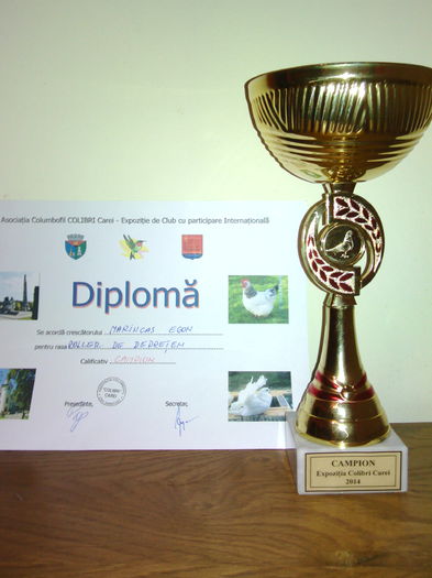 IMG_20141110_194005 - Cupe si Diplome