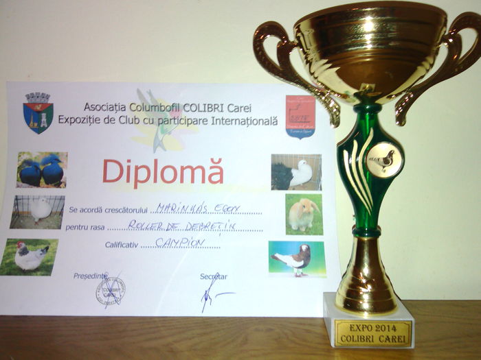 IMG_20141110_195355 - Cupe si Diplome