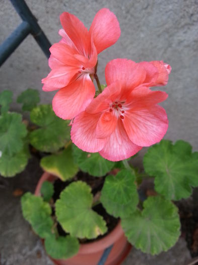 20141002_172628