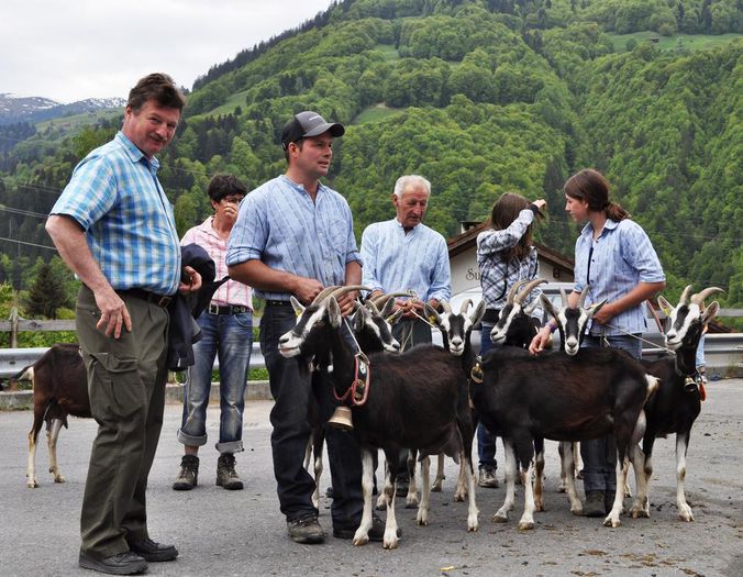 Minunate ce sa mai zicem