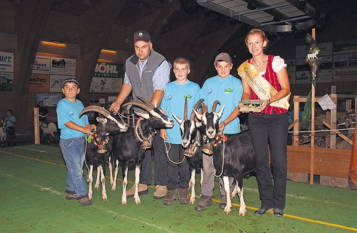 Toggenburg frumoase cu premii - Rase de oi si capre-Poze deosebite 2