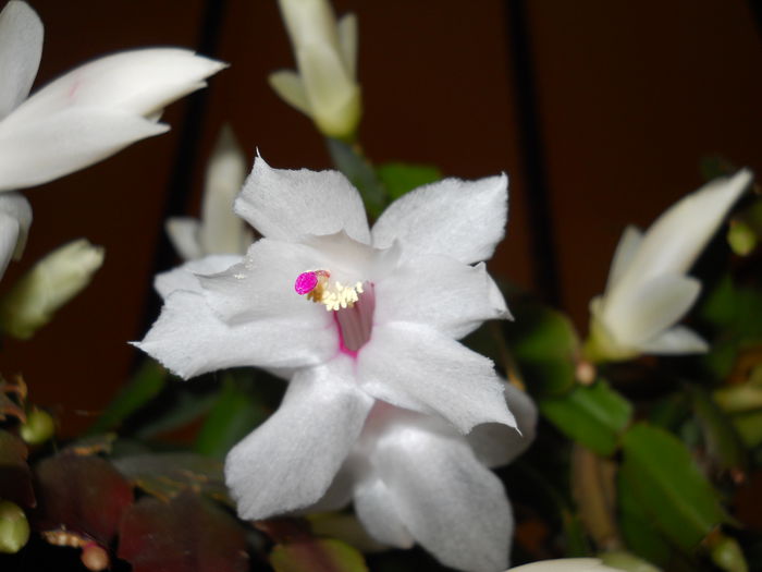 DSCN4853_012