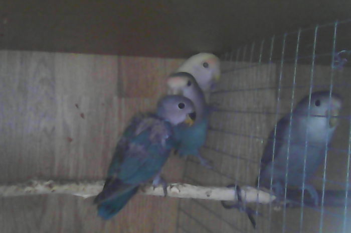 IMG_20141112_090718; Si am plcat la plimbare...
