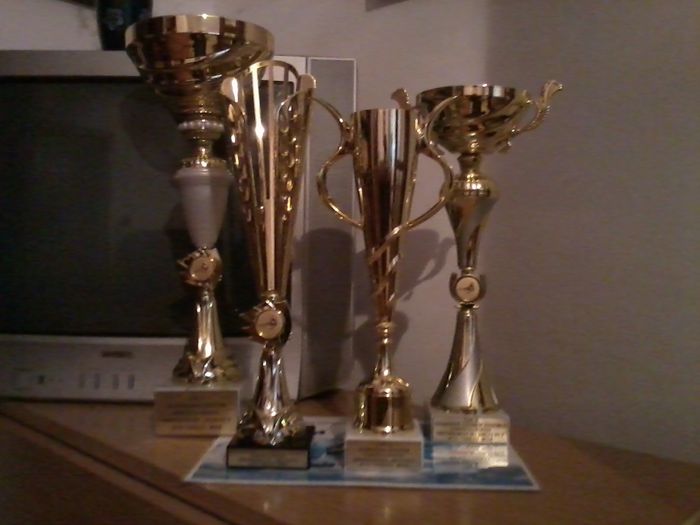 2014-11-11 15.41.02 - Rezultate 2014