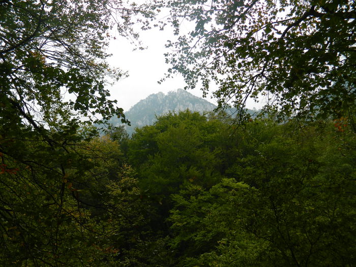 DSCN0390 - HERCULANE_6_OCTOMBRIE