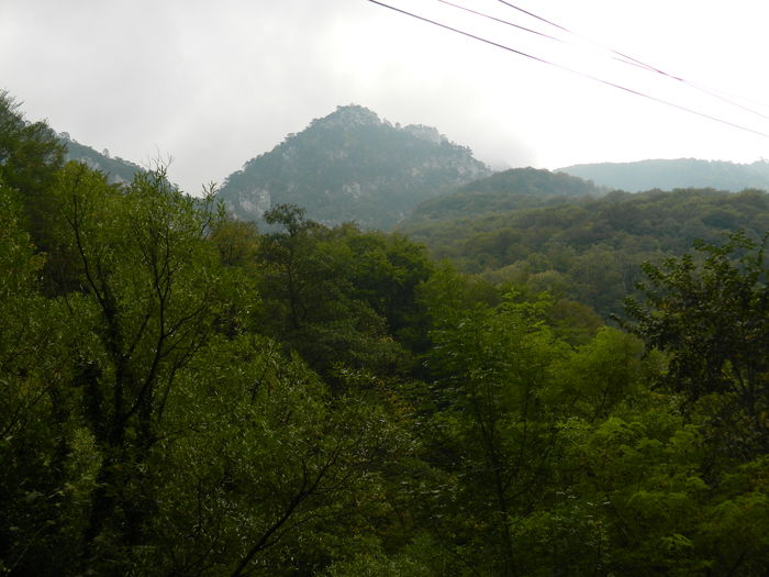 DSCN0391 - HERCULANE_6_OCTOMBRIE