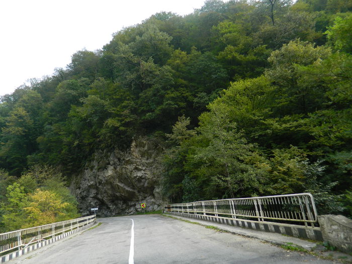 DSCN0398 - HERCULANE_6_OCTOMBRIE