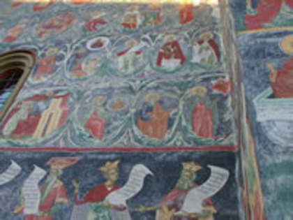 detaliu_sucevita6[1]