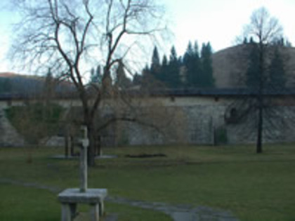 ziduri_sucevita[1] - Manastirea Sucevita
