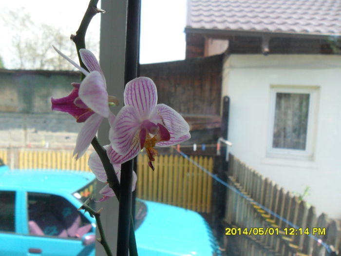 SAM_5431
