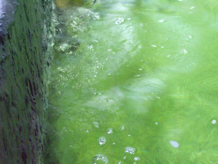 DSCF1649