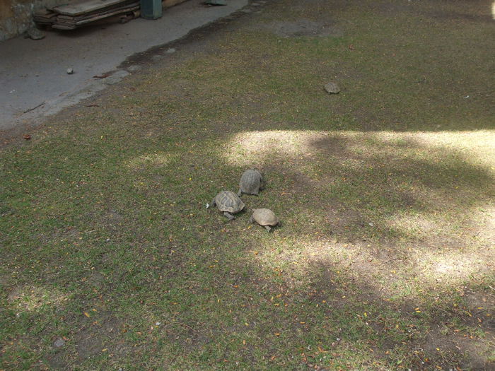 DSCF1667