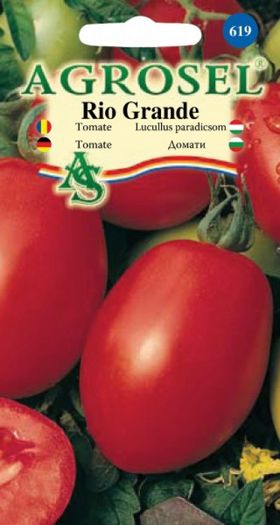 tomate-rio-grande_1268