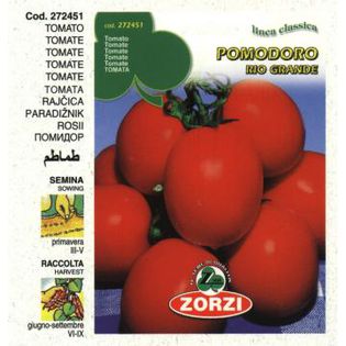 Tomate-Rio-Grande_90315_1199734254