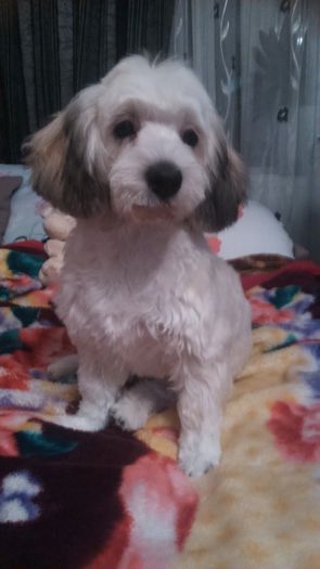 DSC_0708 - Fritz  Bella  Mimi