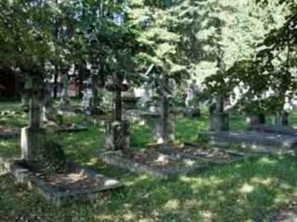 cimi-04z - Manastirea Putna