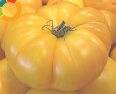 ce84579d1a9d197bf327cd4a9d12d125-4636982-1000_1000